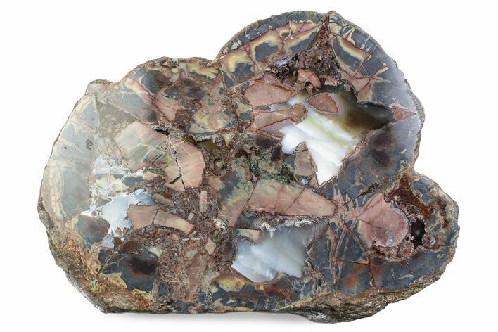 Polished Baker Ranch Thunderegg (Half) - New Mexico #376194